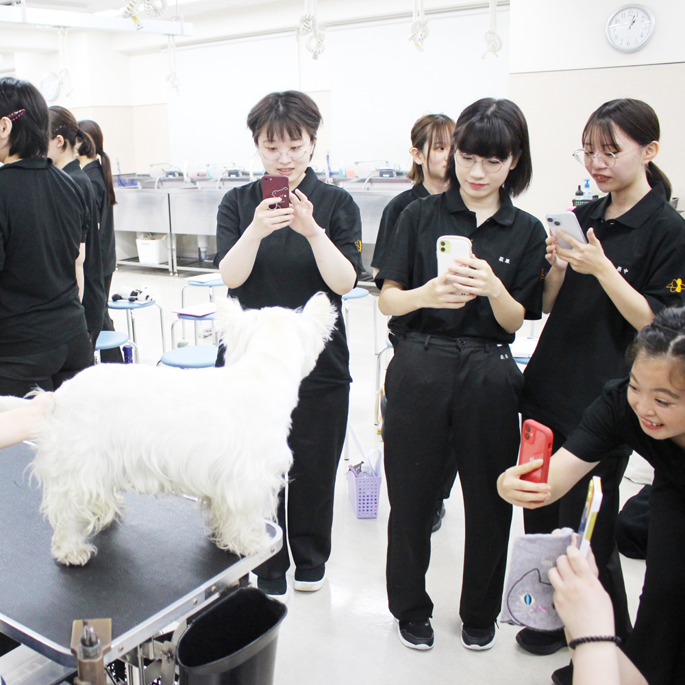 １年生へ向けて先生の試技会～PART①～